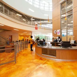 O'Fallon Community Center - O'Fallon