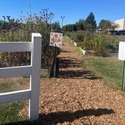 St. Charles County Library - O'Fallon Branch - O'Fallon