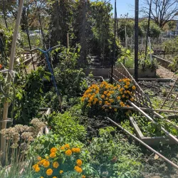 St. Charles County Library - O'Fallon Branch - O'Fallon