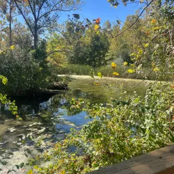 St. Charles County Library - O'Fallon Branch - O'Fallon