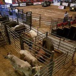 Black River Coliseum - Poplar Bluff