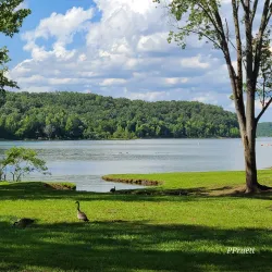 Lake Wappapello State Park - Poplar Bluff