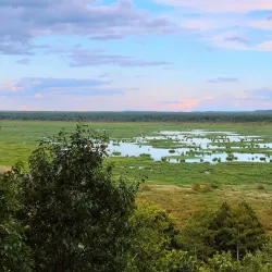 Mingo National Wildlife Refuge - Poplar Bluff