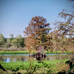 Mingo National Wildlife Refuge - Poplar Bluff