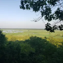 Mingo National Wildlife Refuge - Poplar Bluff