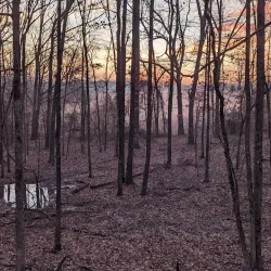 Mingo National Wildlife Refuge - Poplar Bluff