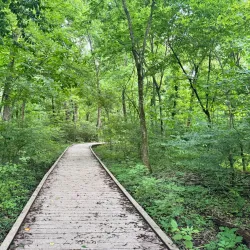 Mingo National Wildlife Refuge - Poplar Bluff