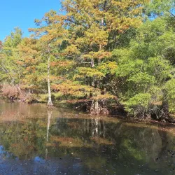 Mingo National Wildlife Refuge - Poplar Bluff