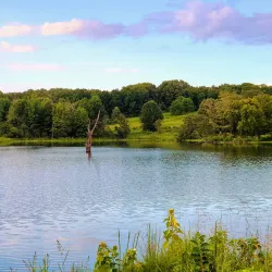 Mingo National Wildlife Refuge - Poplar Bluff