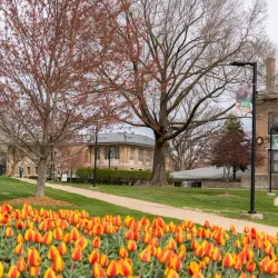 Missouri University of Science and Technology - Rolla