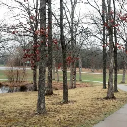 Rolla City Park - Rolla