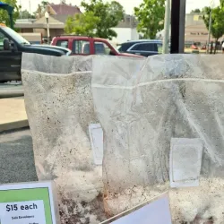 Rolla Farmers Market - Rolla