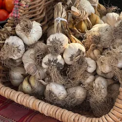 Rolla Farmers Market - Rolla