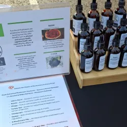 Rolla Farmers Market - Rolla