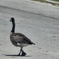 Krug Park - Saint Joseph