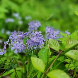 Missouri Riverfront Park - Saint Joseph