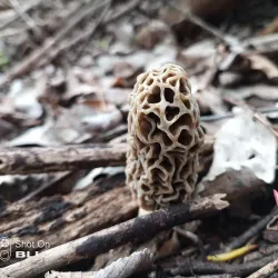 Remington Nature Center - Saint Joseph