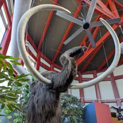 Remington Nature Center - Saint Joseph