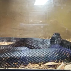 Remington Nature Center - Saint Joseph