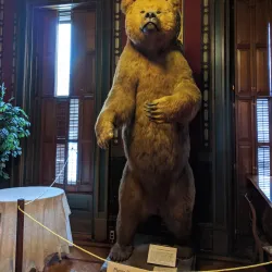 Wyeth-Tootle Mansion - Saint Joseph