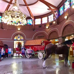 Anheuser-Busch Brewery - Saint Louis