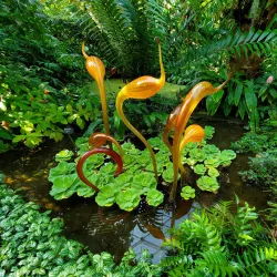 Missouri Botanical Garden - Saint Louis