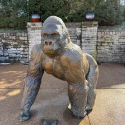 Saint Louis Zoo - Saint Louis