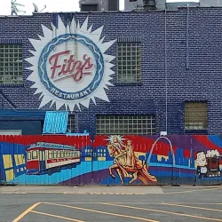 The Delmar Loop - Saint Louis