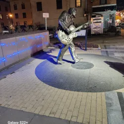 The Delmar Loop - Saint Louis