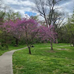 Bicentennial Park - Warrensburg