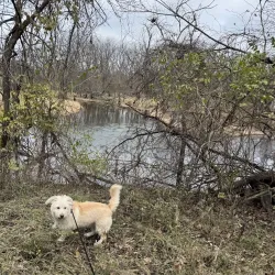 James A. Reed Memorial Park - Warrensburg