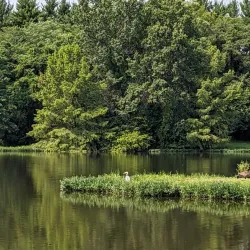 James A. Reed Memorial Park - Warrensburg