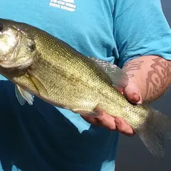 James A. Reed Memorial Park - Warrensburg