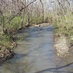 James A. Reed Memorial Park - Warrensburg