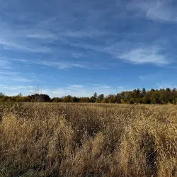 James A. Reed Memorial Park - Warrensburg