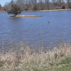 James A. Reed Memorial Park - Warrensburg