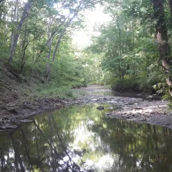 Knob Noster State Park - Warrensburg