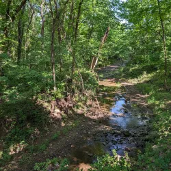 Knob Noster State Park - Warrensburg