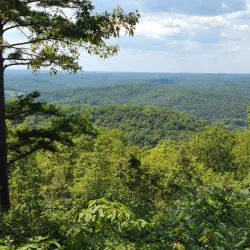 Mark Twain National Forest - Waynesville