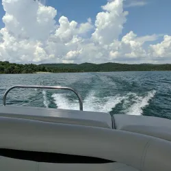 Mark Twain National Forest - Waynesville