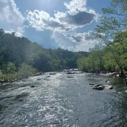 Mark Twain National Forest - Waynesville