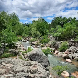 Mark Twain National Forest - Waynesville