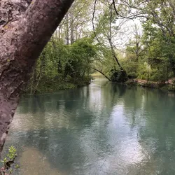 Roubidoux Spring - Waynesville