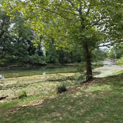 Waynesville City Park - Waynesville