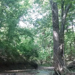 Lost Valley Trail - Wentzville