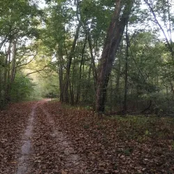 Lost Valley Trail - Wentzville