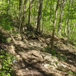 Lost Valley Trail - Wentzville