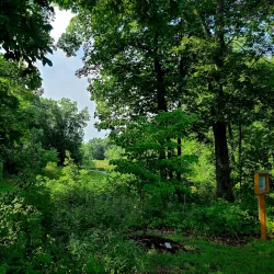 Quail Ridge Park - Wentzville