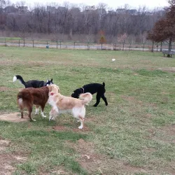 Quail Ridge Park - Wentzville