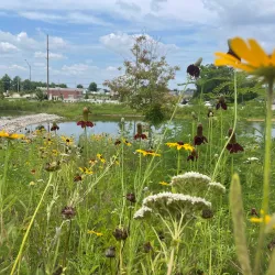 Wentzville Community Center - Wentzville